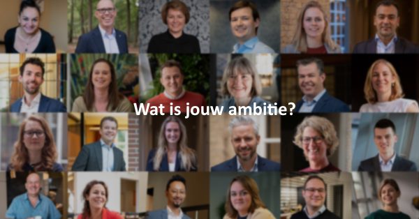 SAP ERP Ambitieverhalen