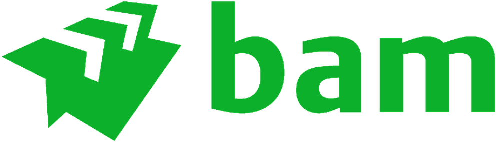 bam logo