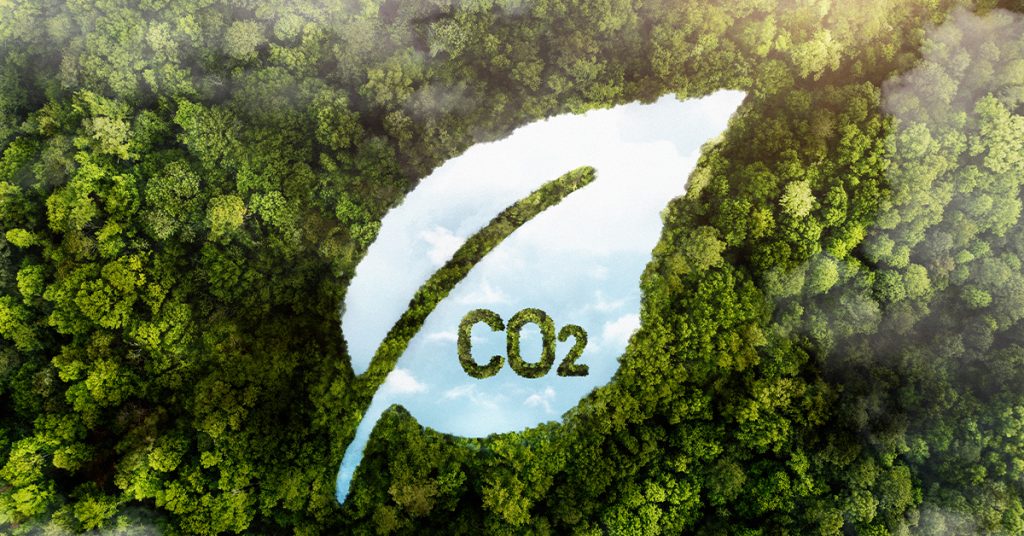 SAP ERP duurzaamheid CO2 myBrand Conclusion
